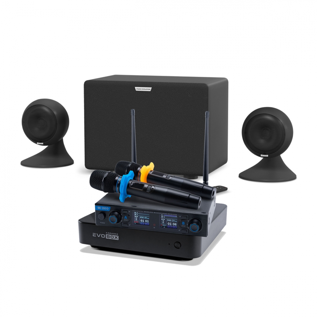 караоке-комплект EVOBOX + EvoSound Sphere 2.1 в Барнауле