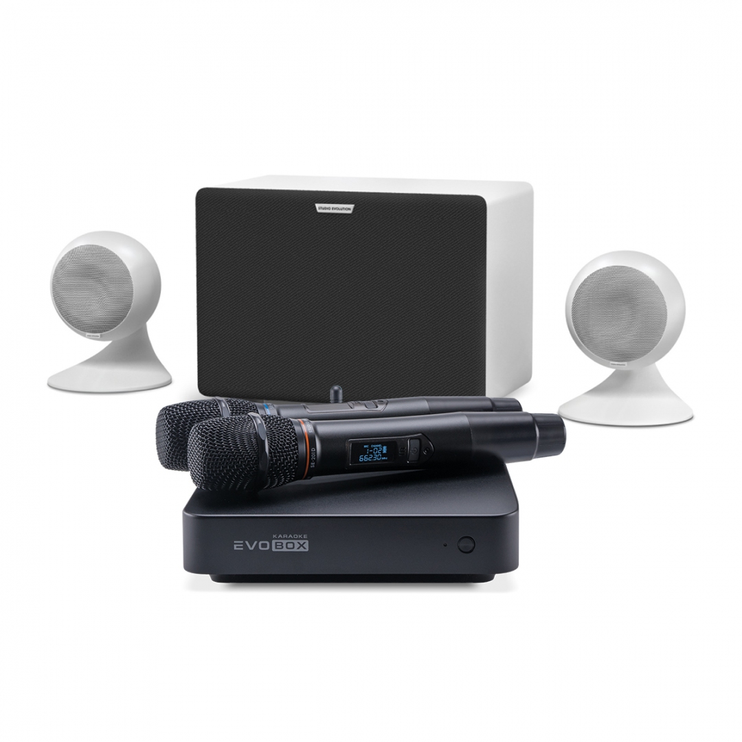 караоке-комплект EVOBOX Classic + EvoSound Sphere 2.1 в Барнауле