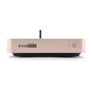 EVOBOX Classic караоке-система для дома в Барнауле