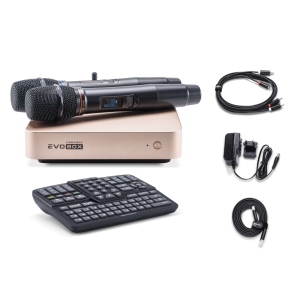 EVOBOX Classic караоке-система для дома в Барнауле